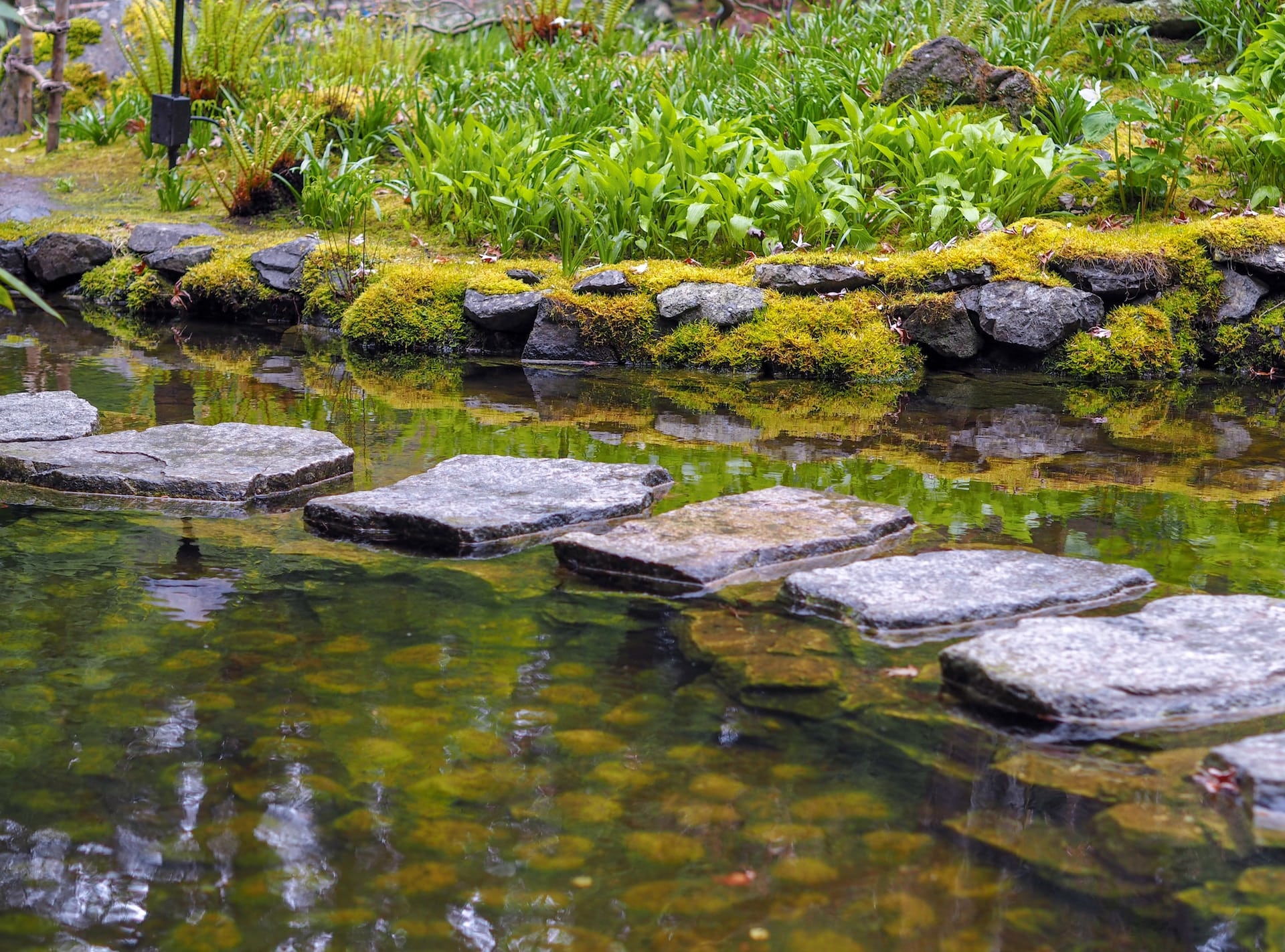 outdoor ponds