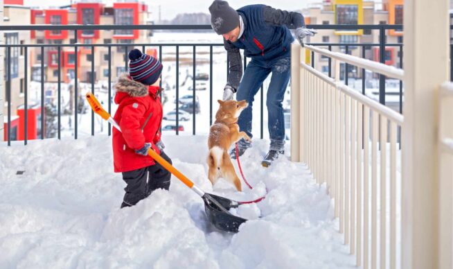 father and son playing with their dog on snow cove