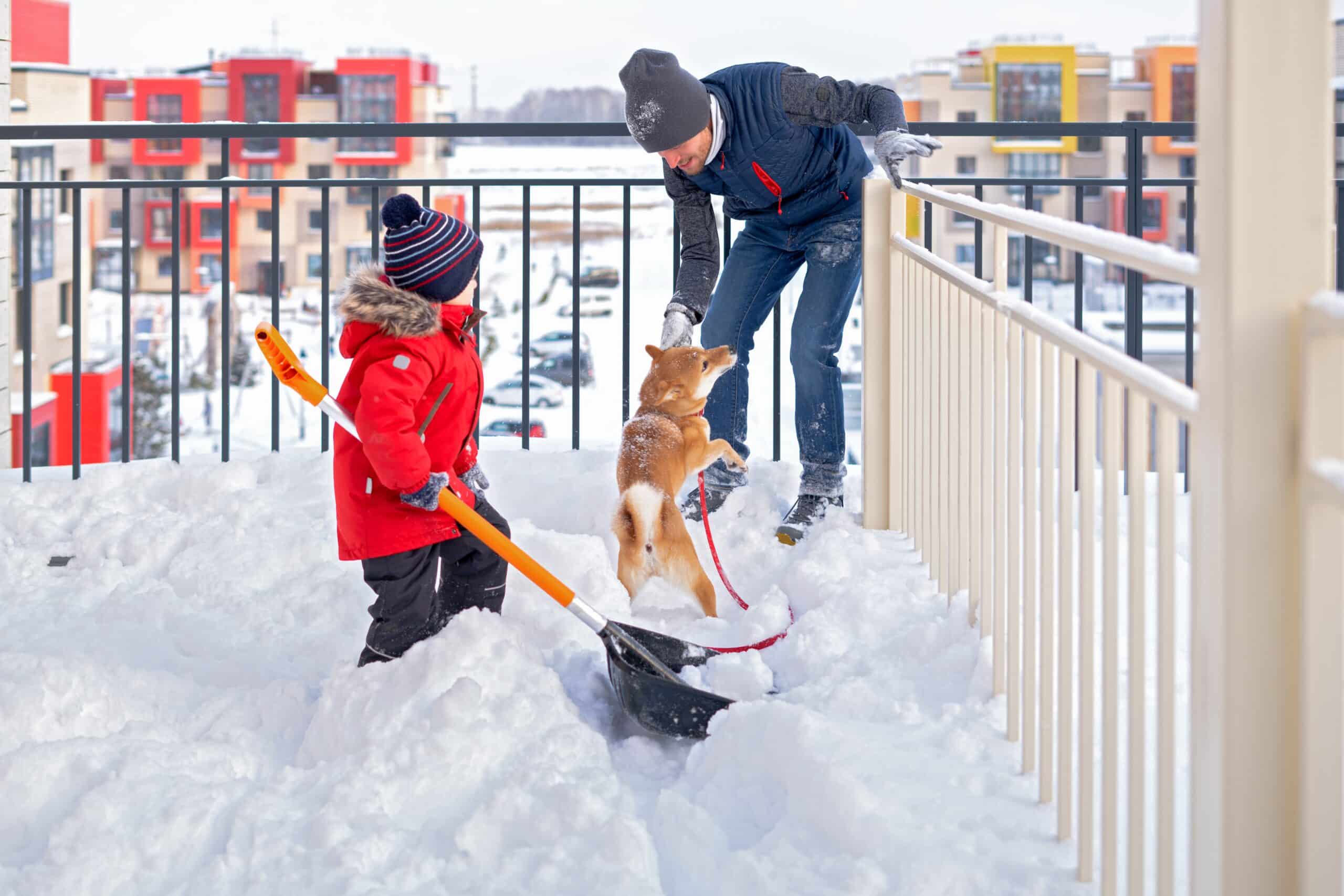 father and son playing with their dog on snow cove