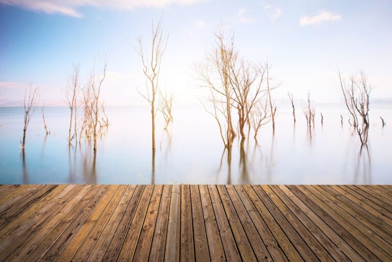 Deck overlooking calm water