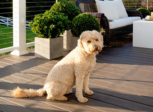 TimberTech Legacy Collection in Mocha