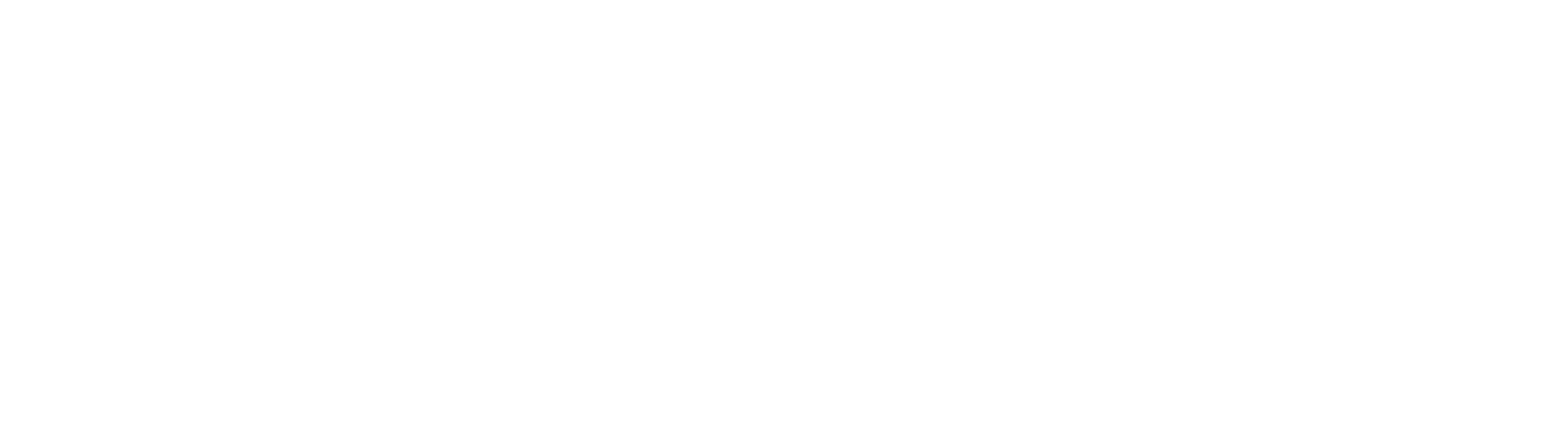 Maestro Shield logo