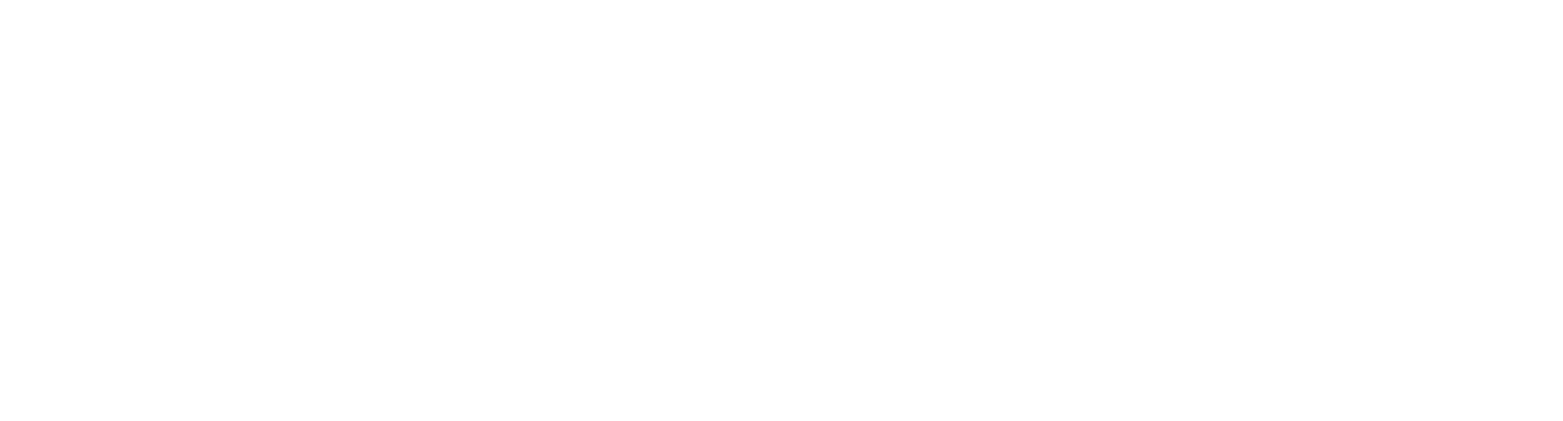 Temo Logo