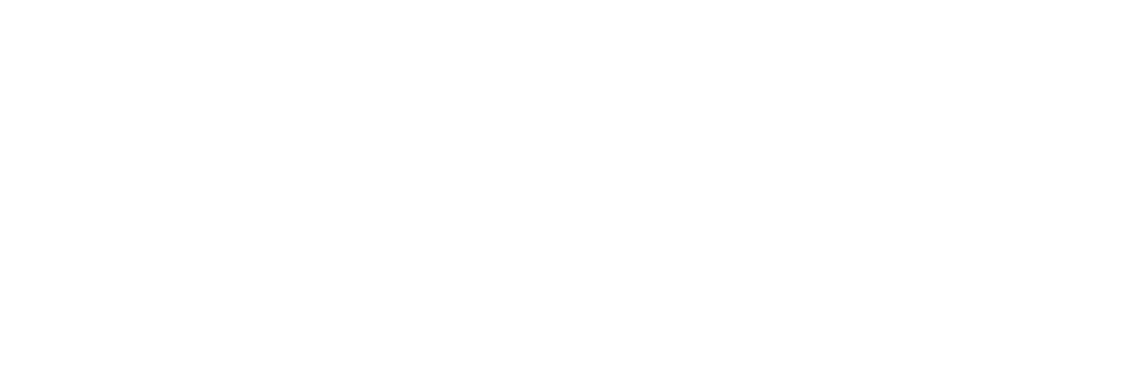 Fiberon Logo